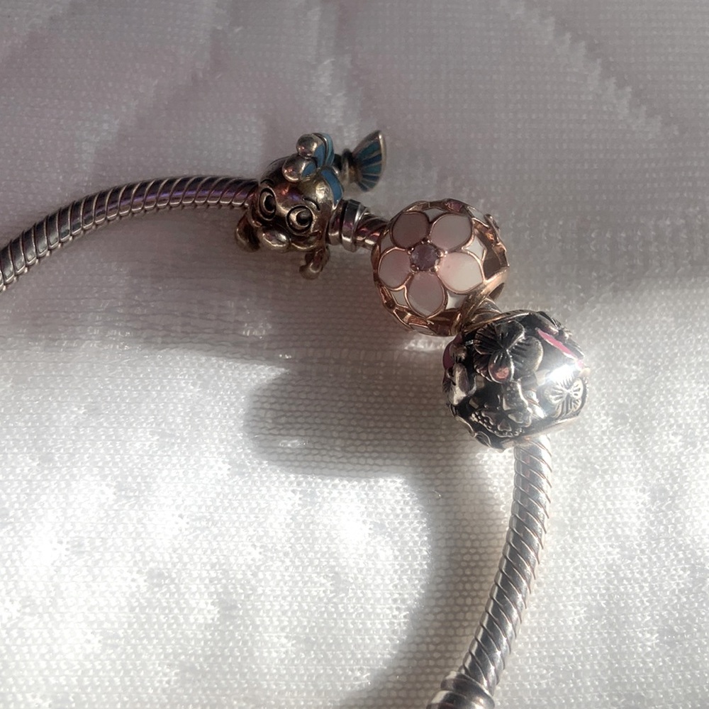 Extra small pandora Disney princess edition.